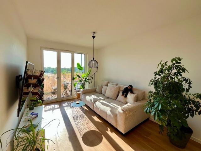 Apartment mieten in Mainz, Rheinland-Pfalz