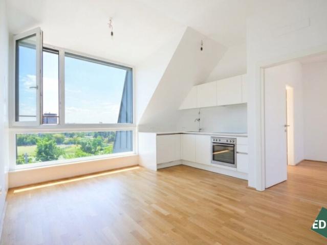 Terrassenwohnung mieten in Wien