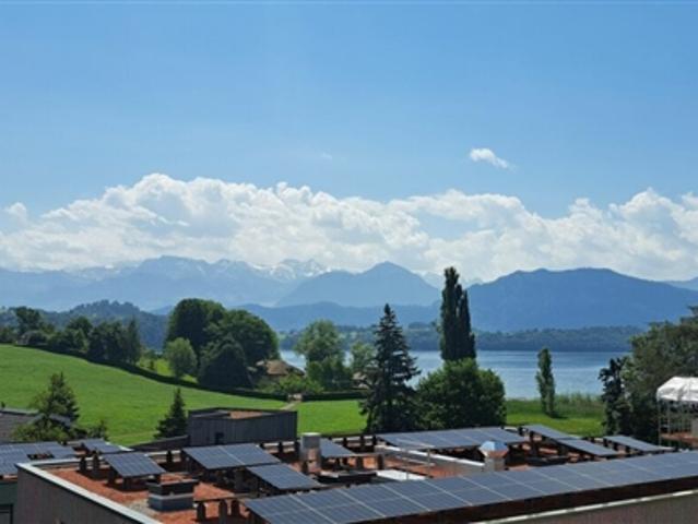 Wohnung mieten in Küssnacht am Rigi, Schwyz