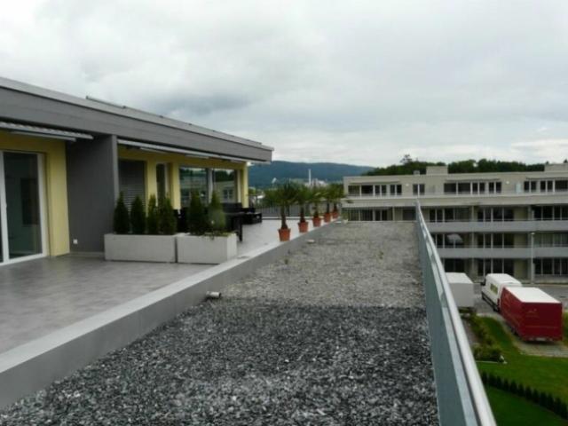 Wohnung mieten in Rupperswil, Aargau