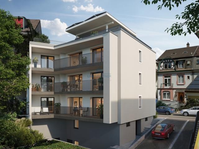 Wohnung kaufen in Birsfelden, Basel-Landschaft