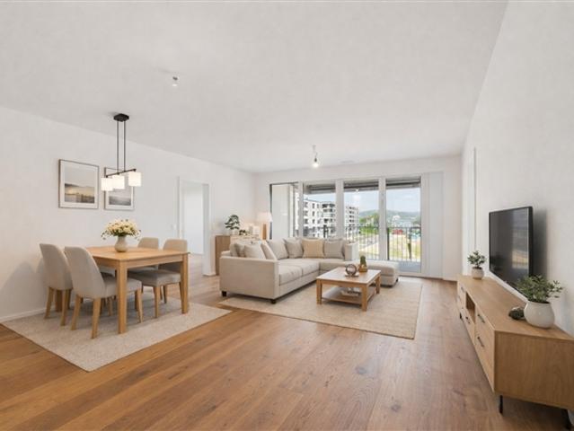 Wohnung mieten in Wädenswil, Zürich