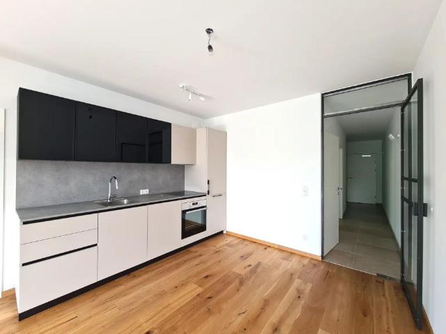 Apartment mieten in Katastralgemeinde Pitten, Pitten