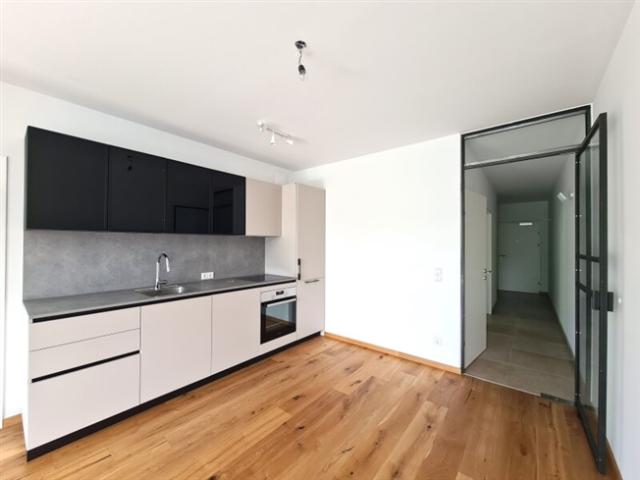 Wohnung mieten in Pitten, Niederösterreich