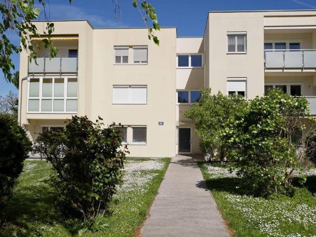 Apartment kaufen in Schöffelstadt, Mödling