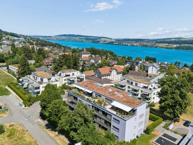 Terrassenwohnung kaufen in Beinwil am See, Aargau