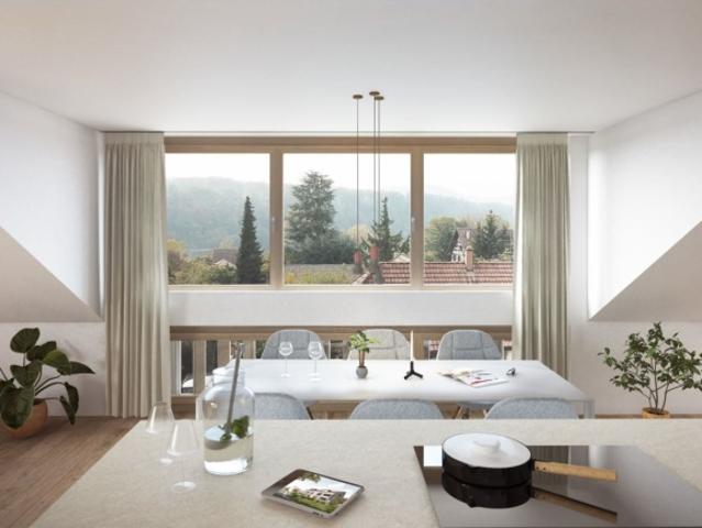 Dachwohnung kaufen in Hemishofen, Schaffhausen