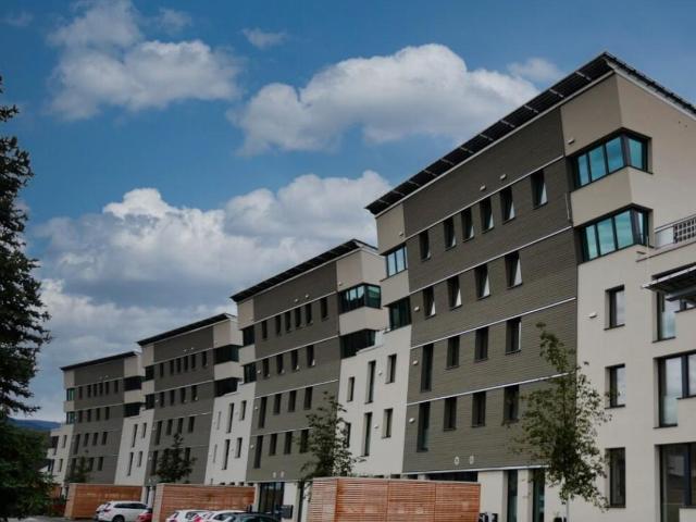 Wohnung mieten in Schallstadt, Baden-Württemberg
