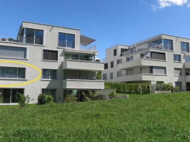Apartment mieten in Einigen, Zürich