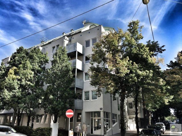 Apartment kaufen in Döbling, Wien