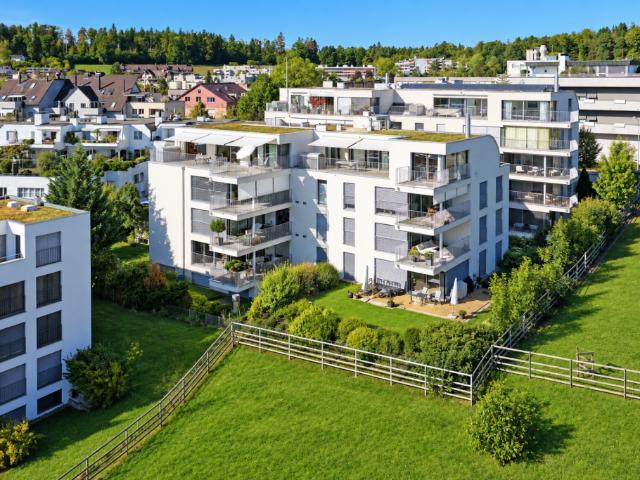 Immobilie kaufen in Höngg, Zürich