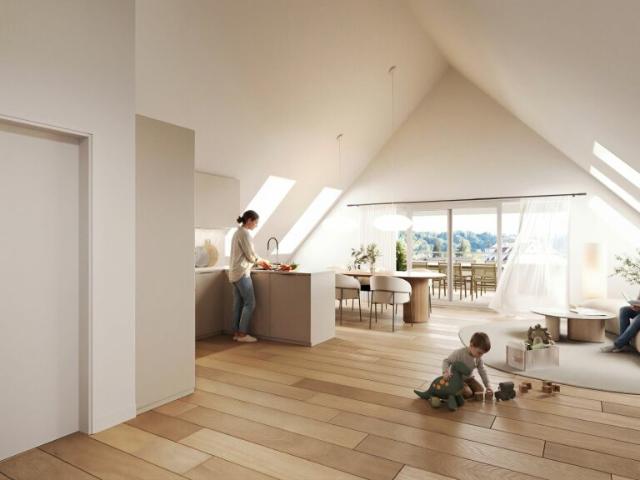 Dachwohnung kaufen in Zell (ZH), Zürich