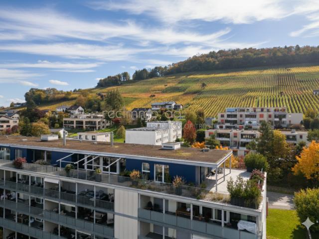 Wohnung kaufen in Döttingen, Aargau