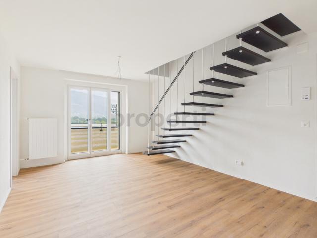 Apartment mieten in Lü