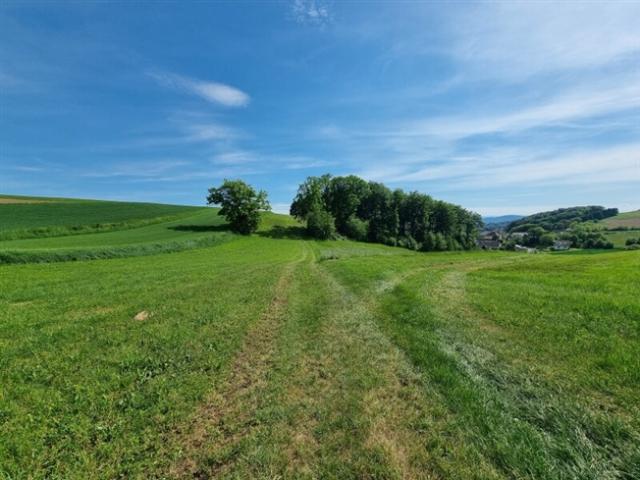 Landwirtschaft kaufen in Dunkelsteinerwald, Niederösterreich