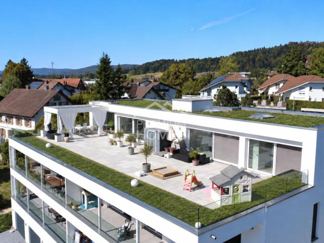 Attikawohnung kaufen in Dottikon, Bezirk Bremgarten