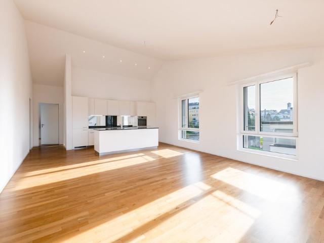 Apartment mieten in Weidpark, Hochdorf