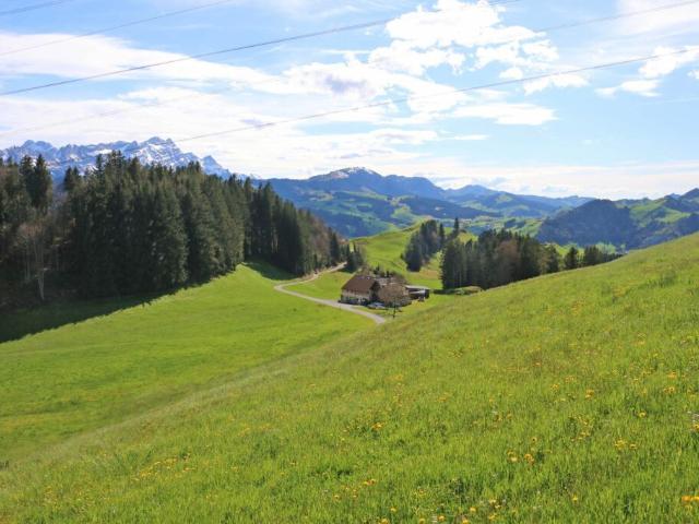 Immobilie kaufen in Appenzell, Appenzell Innerrhoden