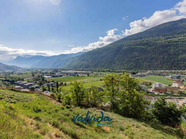 Grundstück kaufen in Steg (VS), Wallis