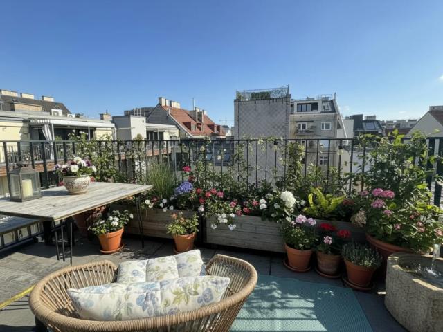 Apartment mieten in Währing, Wien
