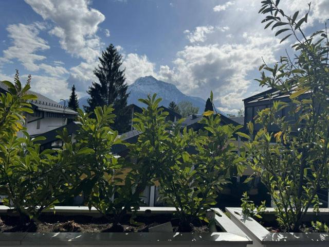 Apartment kaufen in Glasenbach, Elsbethen