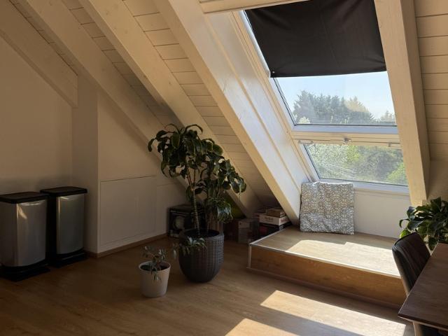 Wohnung mieten in Speyer, Rheinland-Pfalz