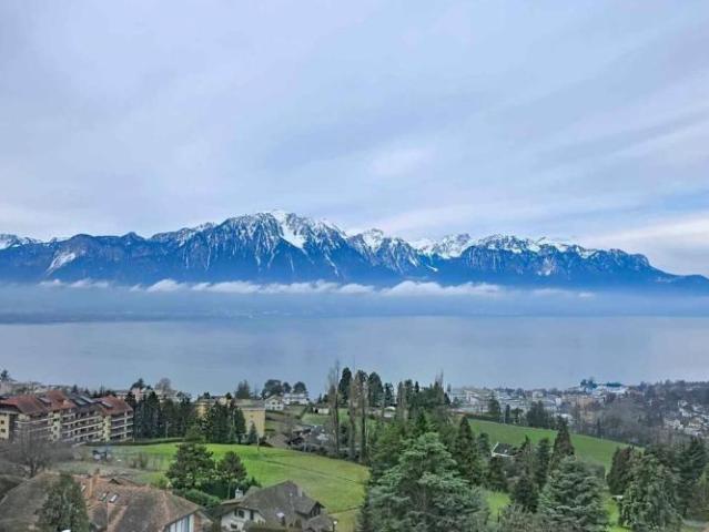 Wohnung kaufen in Chailly-Montreux, Waadt