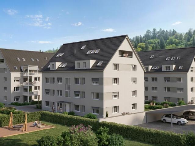 Dachwohnung kaufen in Zell (ZH), Zürich