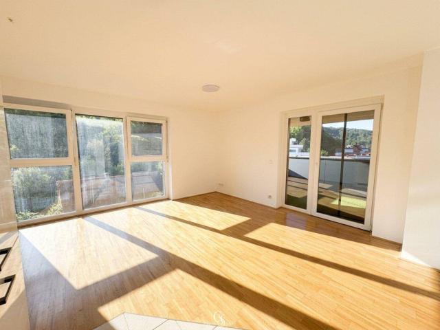 Apartment mieten in Katastralgemeinde Straßgang, Graz