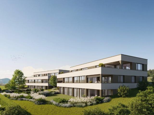 Etagenwohnung kaufen in Oberwil-Lieli