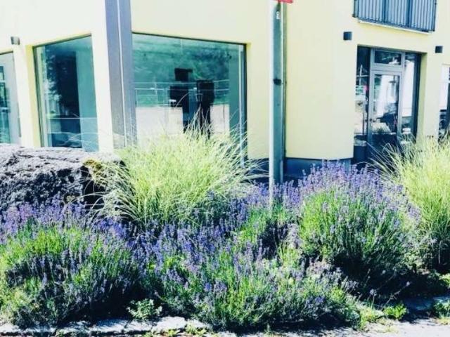 Büro kaufen in Starnberg, Landkreis Starnberg