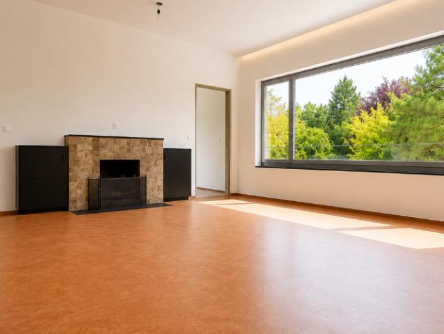 Haus kaufen in Bercher, Waadt