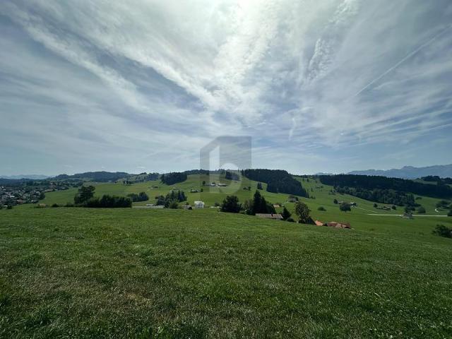 Immobilie kaufen in Speicher, Appenzell Ausserrhoden