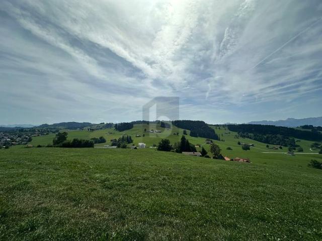 Immobilie kaufen in Speicher, Appenzell Ausserrhoden