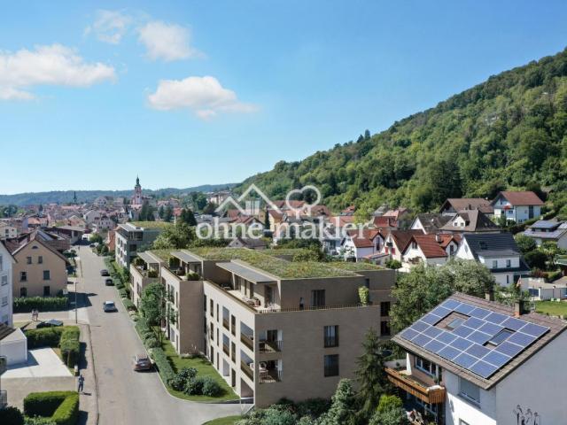 Apartment mieten in Waldshut-Tiengen, Baden-Württemberg