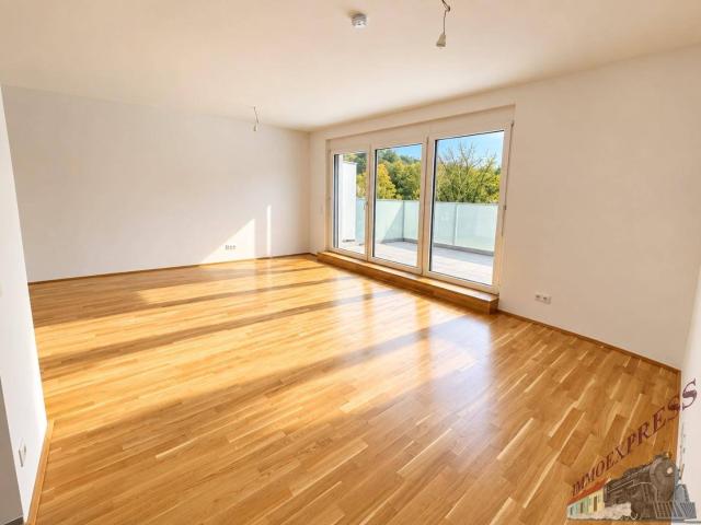 Apartment kaufen in Klosterneuburg, Bezirk Tulln