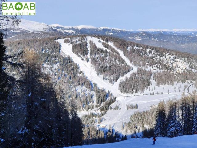 Apartment kaufen in Albeck, Kärnten