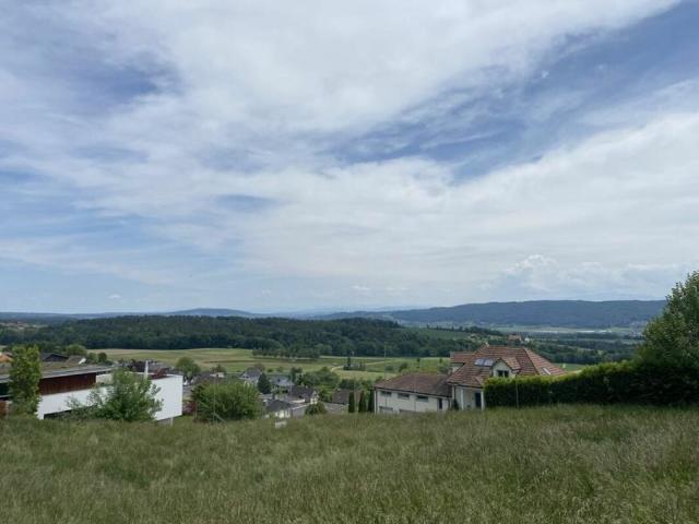 Immobilie kaufen in Herdern, Thurgau