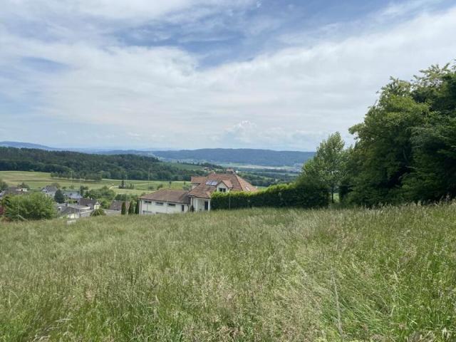 Grundstück kaufen in Herdern, Thurgau