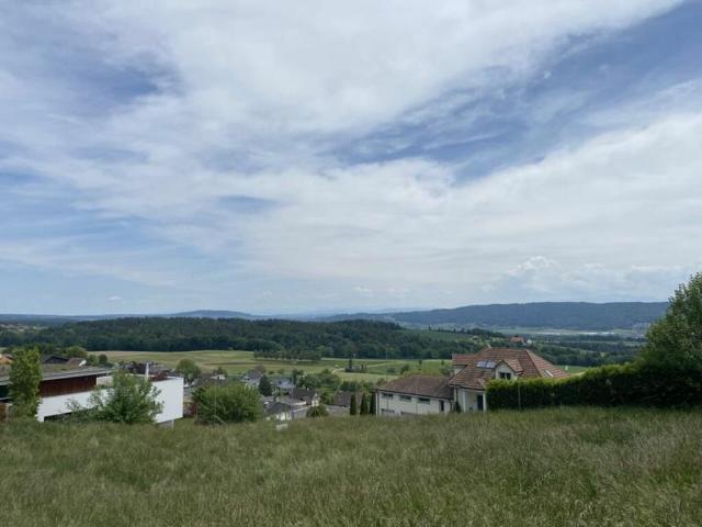 Grundstück kaufen in Herdern, Thurgau