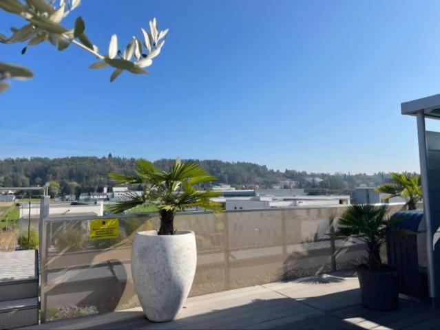 Penthouse kaufen in Sankt Peter, Gersdorf-Feistritz
