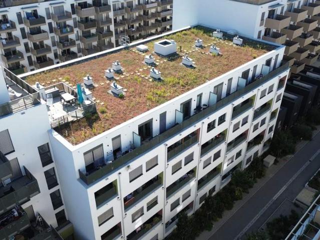 Gewerbe mieten in Donaustadt, Wien