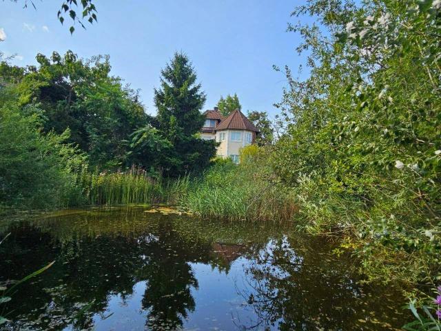 Haus kaufen in Enzesfeld-Lindabrunn, Niederösterreich