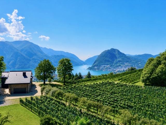 Einfamilienhaus kaufen in Porza, Tessin