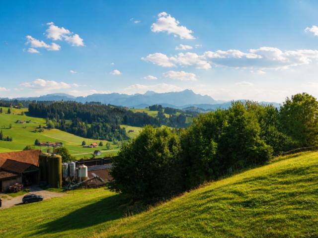 Grundstück kaufen in Speicher, Mittelland