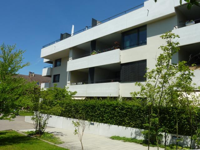 Apartment mieten in Einigen, Zürich