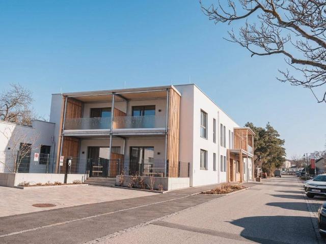 Apartment kaufen in Pürbach, Burgenland