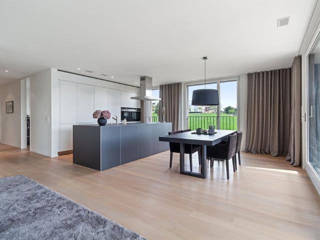 Apartment mieten in Obermeilen, Meilen