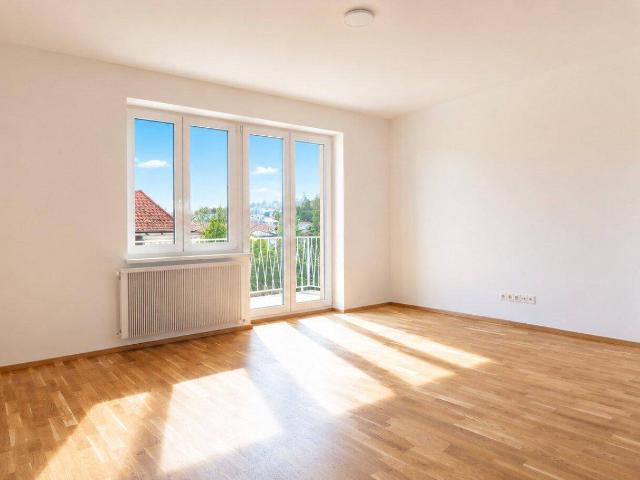 Apartment kaufen in KG Dornbach, Wien