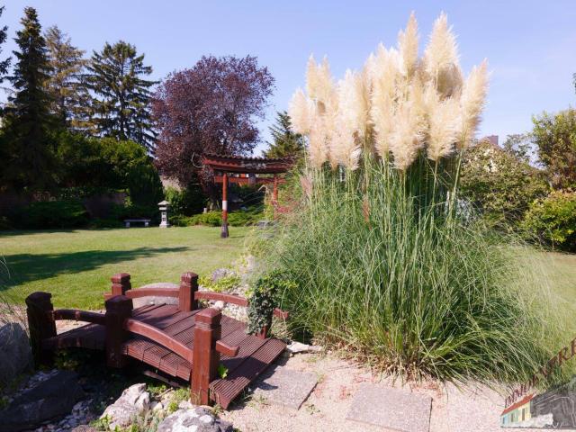 Haus kaufen in Schwechat, Niederösterreich